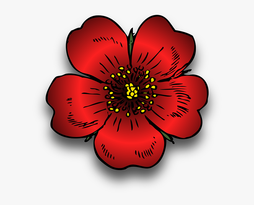 Plant, Red, Rosa, Rose, Wild, Blossom, Beautiful, Bloom - Wild Rose Clip Art, HD Png Download