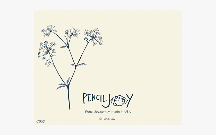 Cow Parsley, HD Png Download