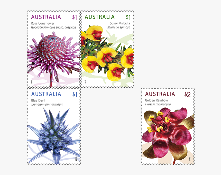 Wild Flowers Png - Australia Post $1 Stamp, Transparent Png