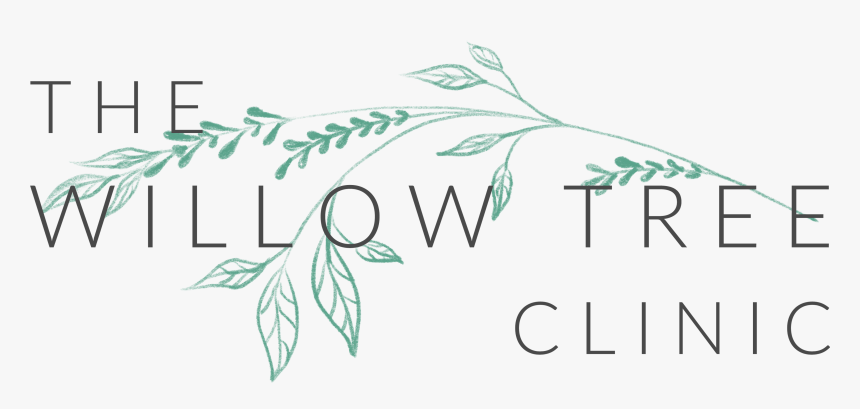 Calligraphy, HD Png Download