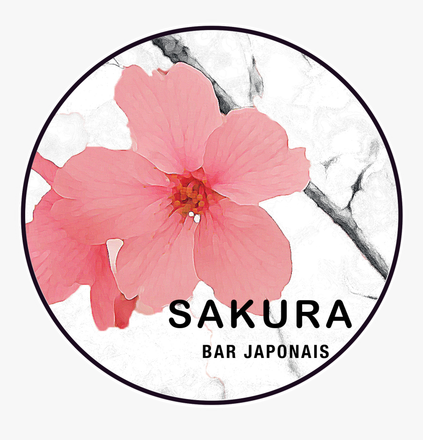 Hawaiian Hibiscus, HD Png Download