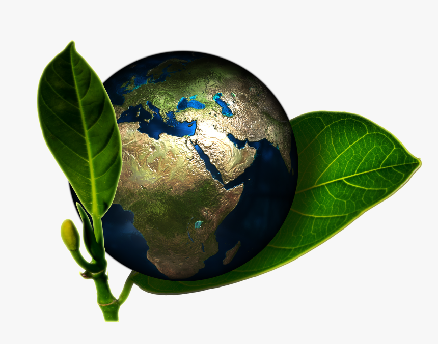 Green School Building Design, HD Png Download