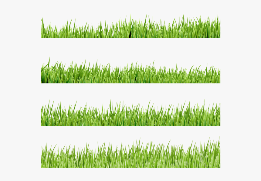 Флора, Зеленая Трава, Green Grass, Grünes Gras, Flore, - Lawn, HD Png Download
