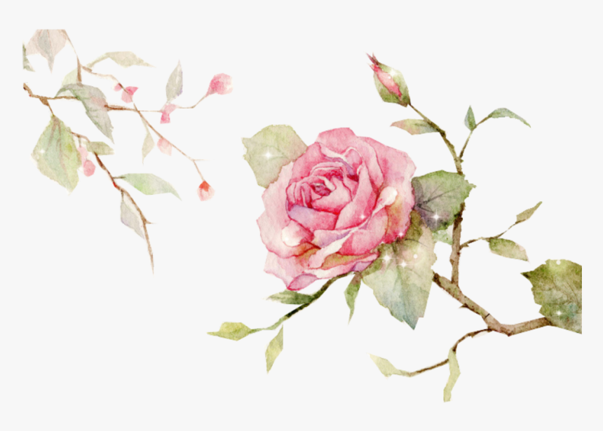 #edits #flowers #rose #vine #nature #art #stickers - Hand Painted Flowers Vector Png, Transparent Png