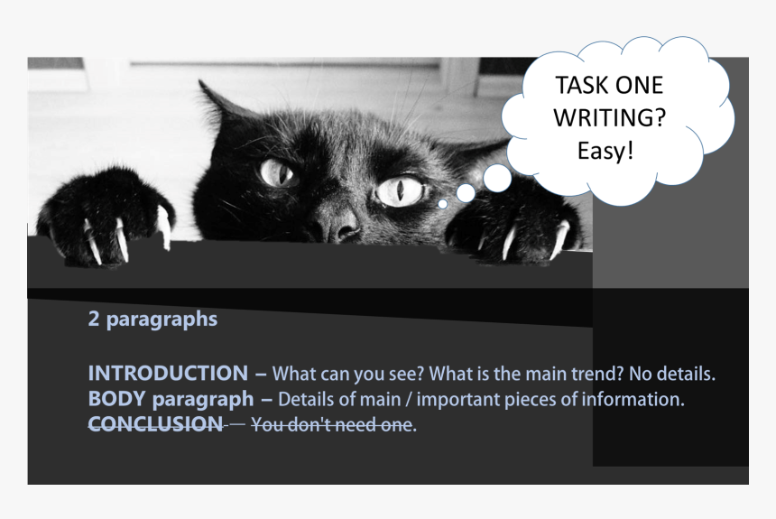 Ielts Writing Tip - Cats And Daylight Savings, HD Png Download