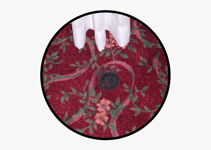 Circle, HD Png Download