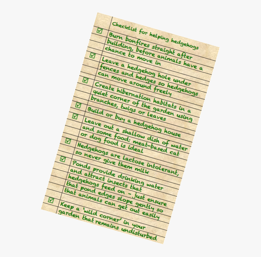 Document, HD Png Download