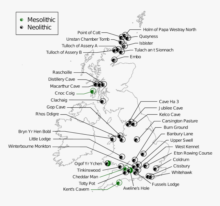 Ancient Genomes Indicate Population Replacement In, HD Png Download