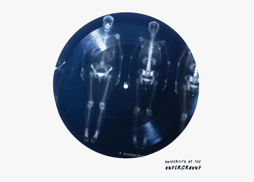 Circle, HD Png Download