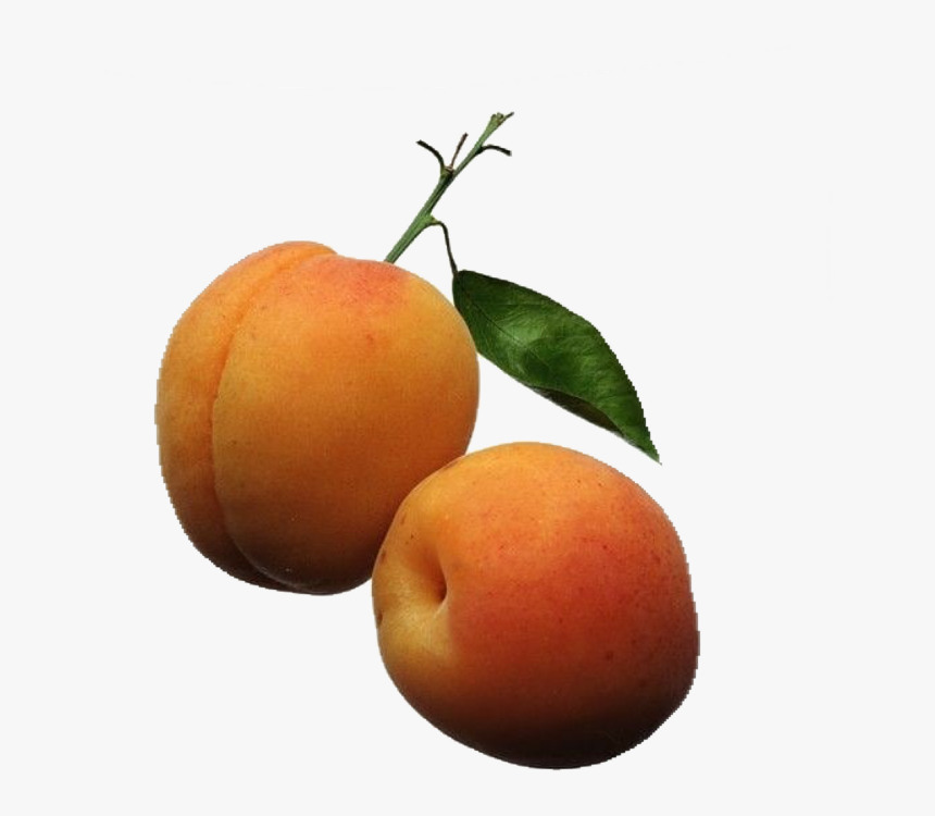 Apricot - Orange Color Fruits Png, Transparent Png