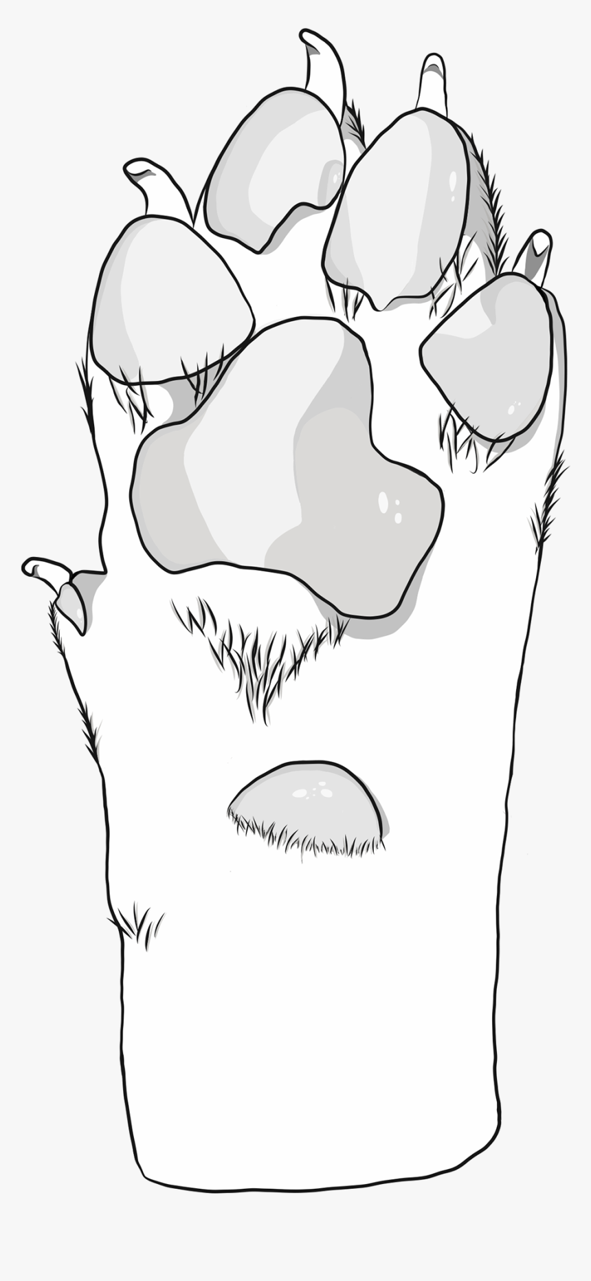 Transparent Giving Hands Png - Illustration, Png Download