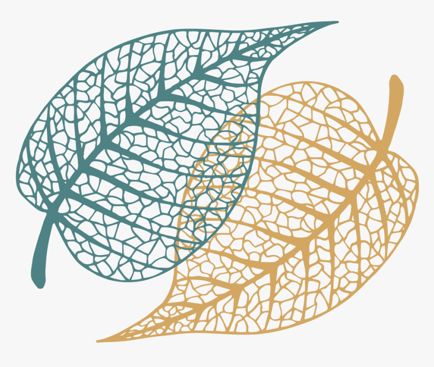 Transparent Open Giving Hands Clipart - Circle, HD Png Download