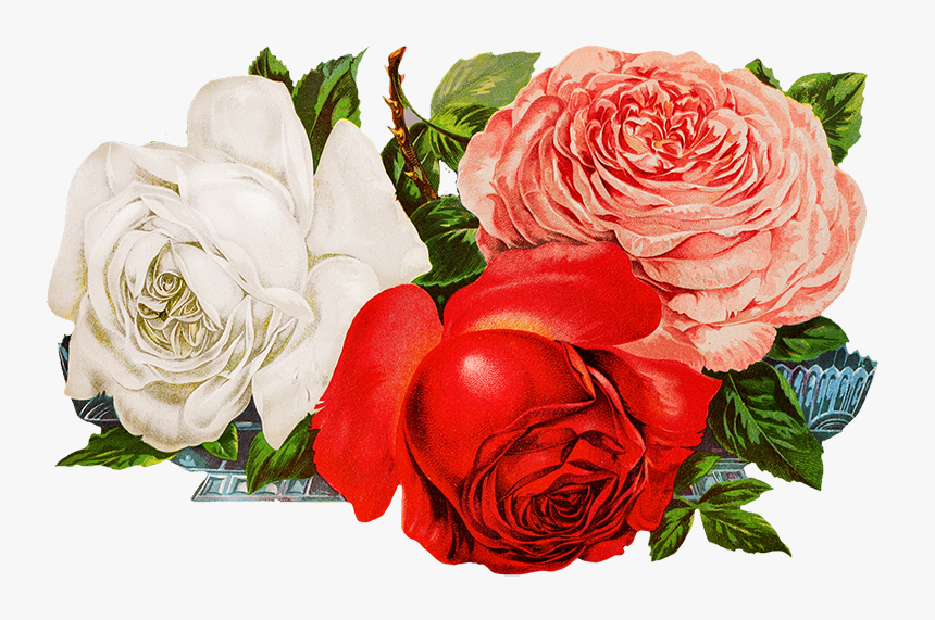 Scrapbooking Roses - Digital Transparent Rose Png, Png Download