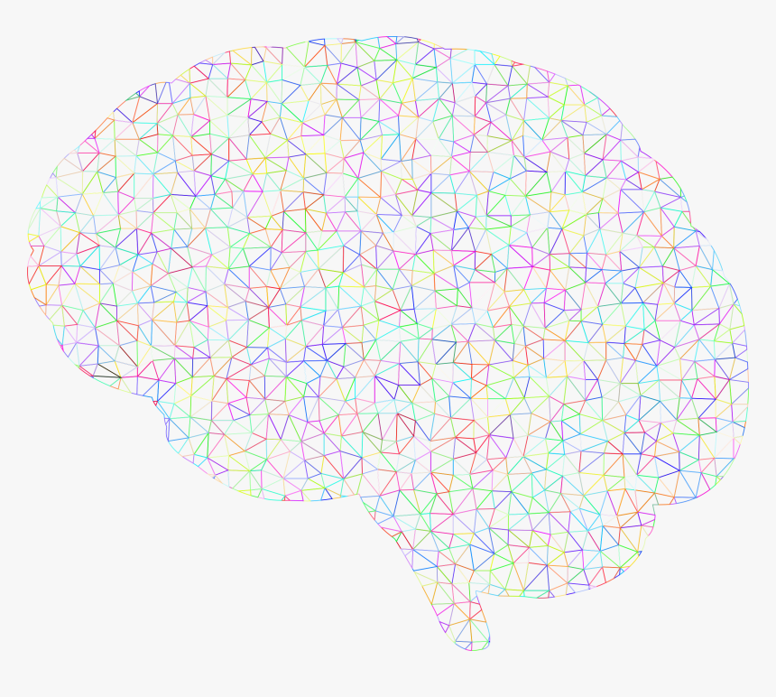 Prismatic Polygonal Wireframe No - Brain Wireframe No Background, HD Png Download