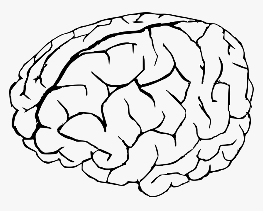 Brain Black And White Clipart, HD Png Download