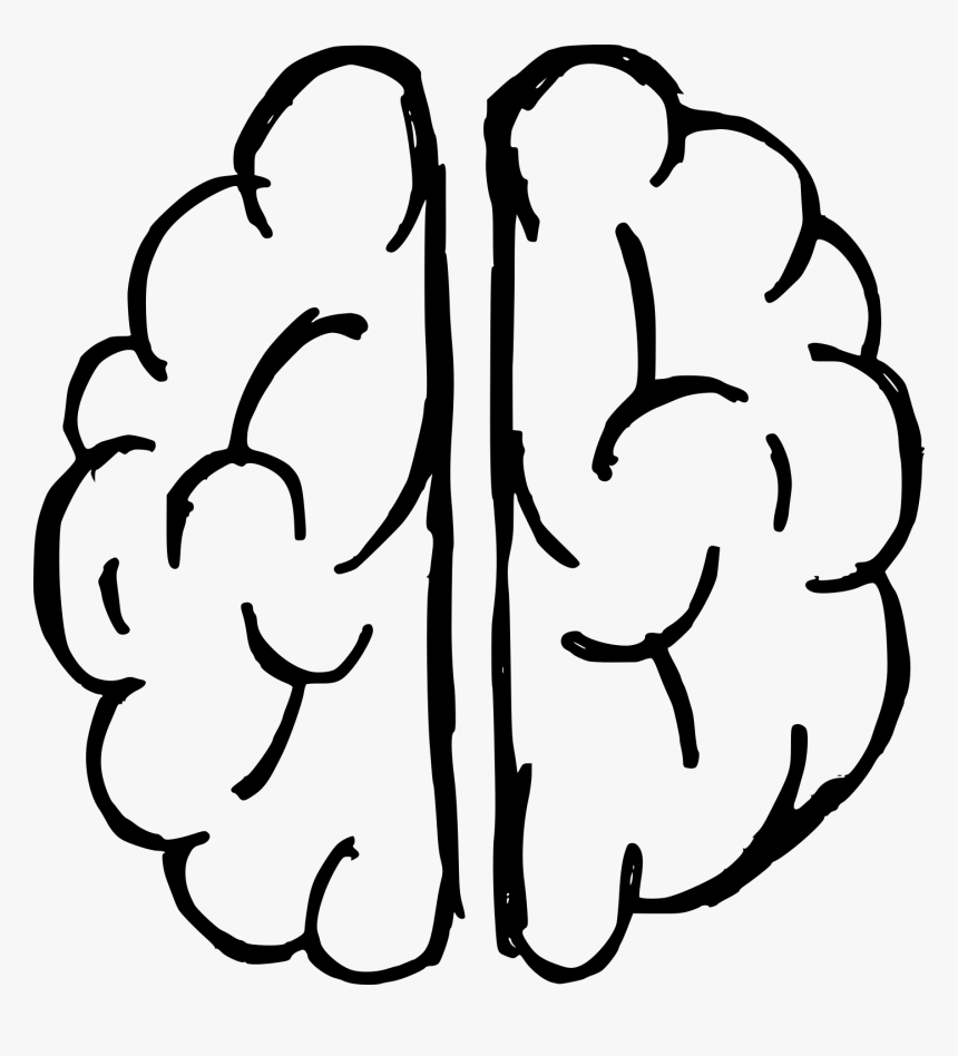 Drawing For Animal Easy Cartoon, HD Png Download