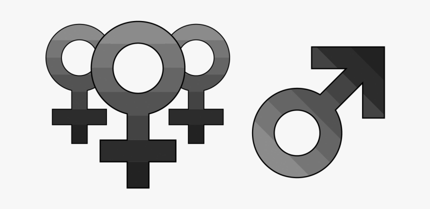 Circle, HD Png Download