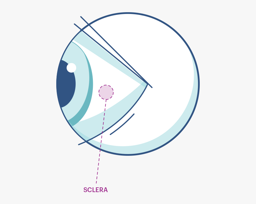 Circle, HD Png Download