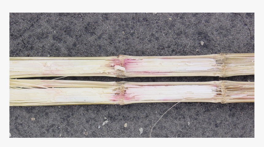 Lumber, HD Png Download