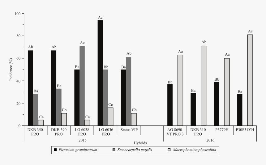 Plot, HD Png Download