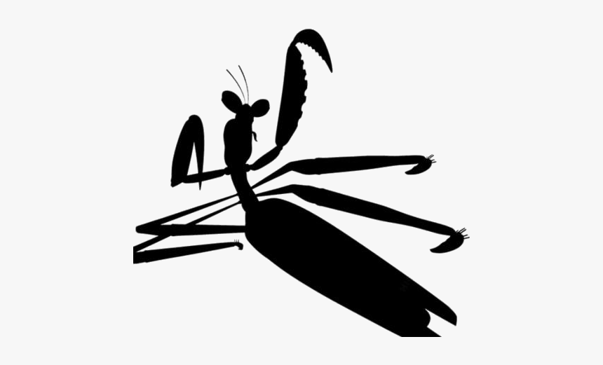 Mantis From Kung Fu Panda Legends Awesomeness Png Hd Illustration Transparent Png Transparent Png Image Pngitem