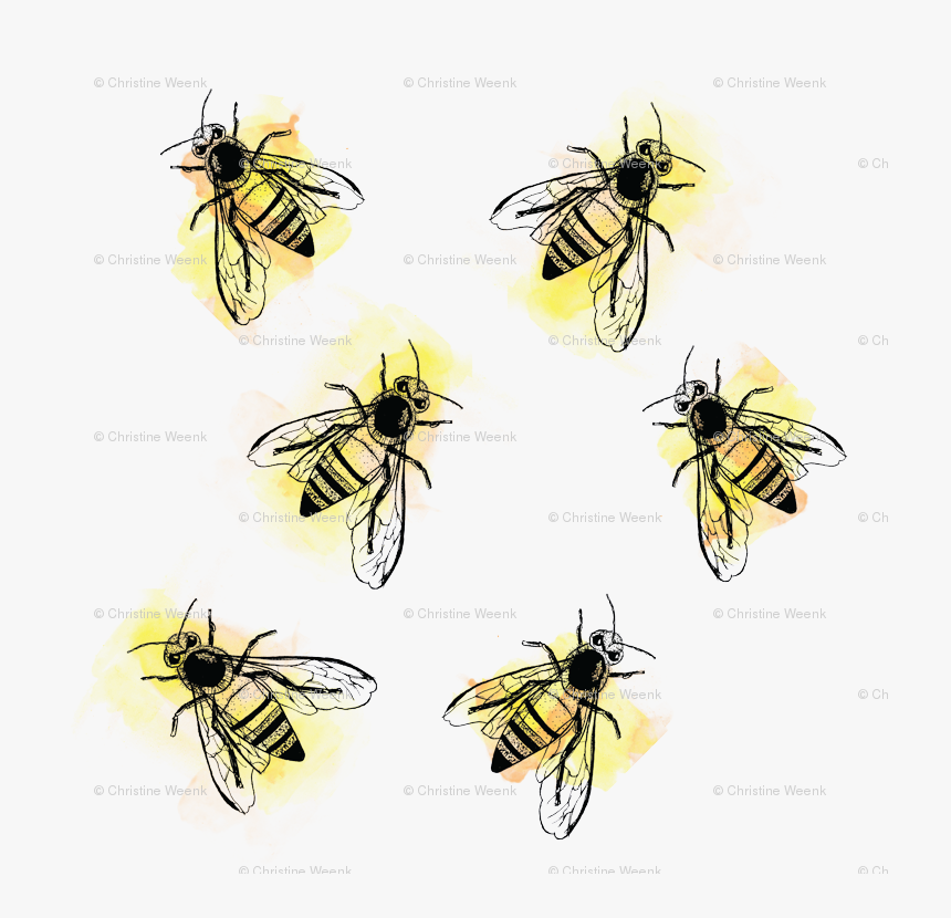 Watercolor Bees Wallpaper - Transparent Watercolor Bee, HD Png Download