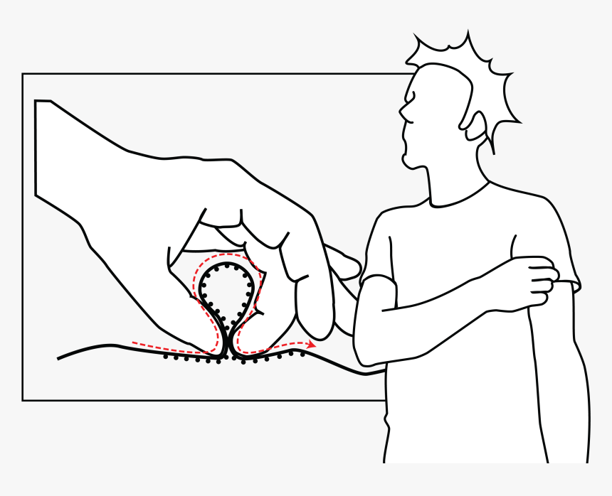 Illustration, HD Png Download