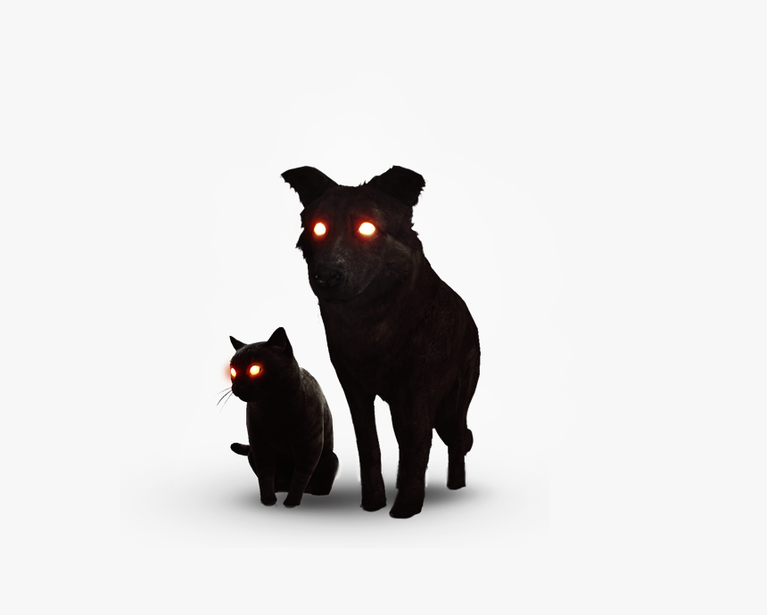 Ведьмак 3 коты. Черный кот и пес ведьмак 3. ведьмак 3 кот и пес. ведьмак каменные сердца кот и пес. ведьмак 3 каменные сердца кошка и собака.