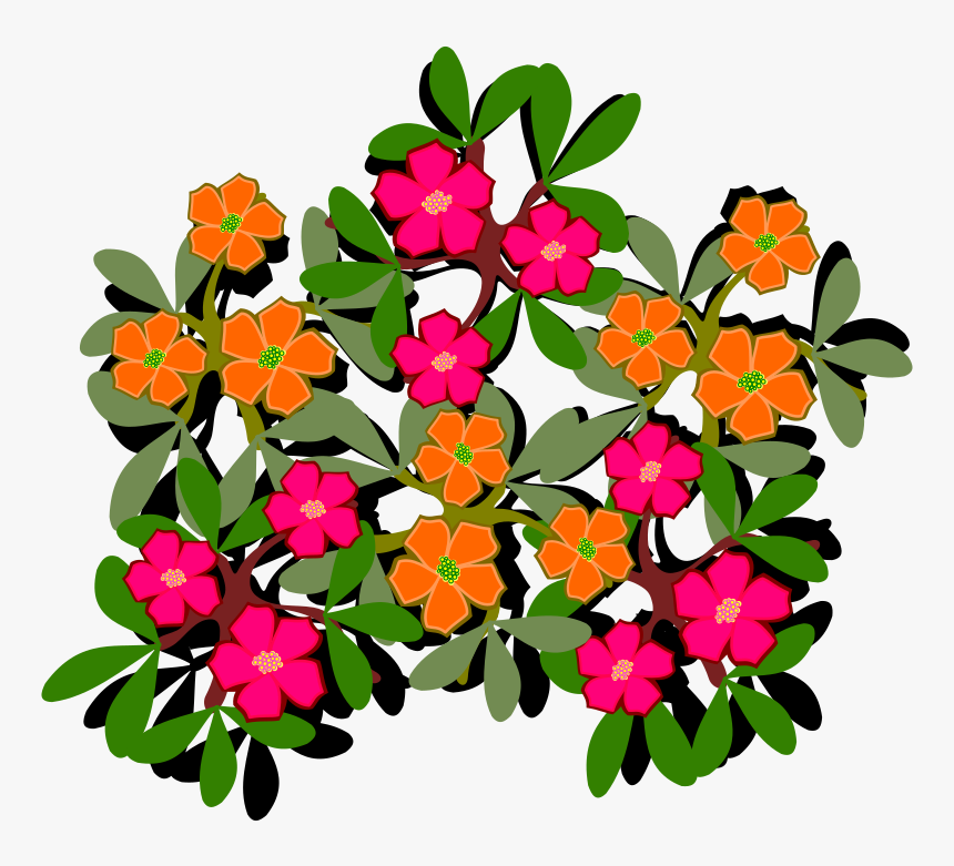 Flower - Clip Art Portulaca, HD Png Download