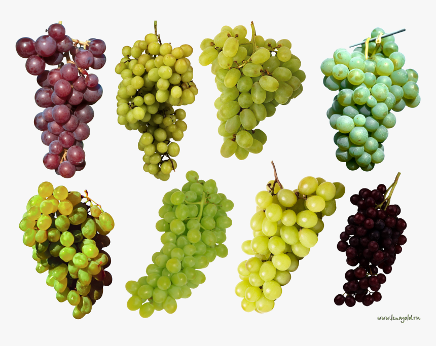Grape Top View Png - Purple And Green Grapes, Transparent Png