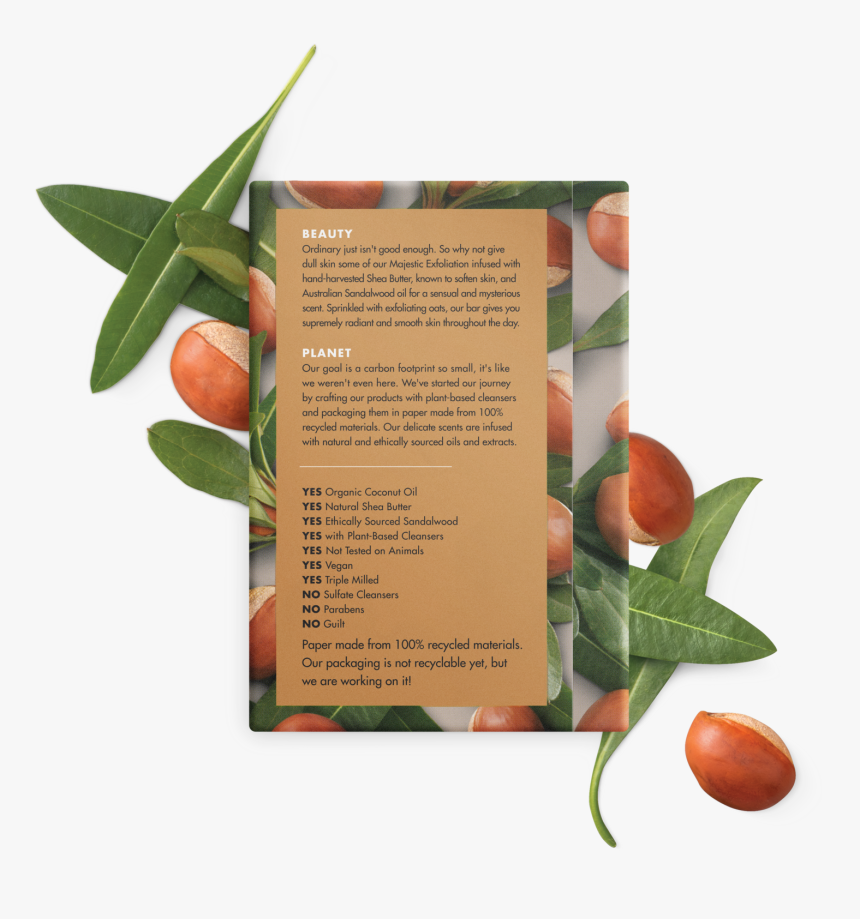 Transparent Plants Top View Png - Love Beauty And Planet Back Of Pack, Png Download