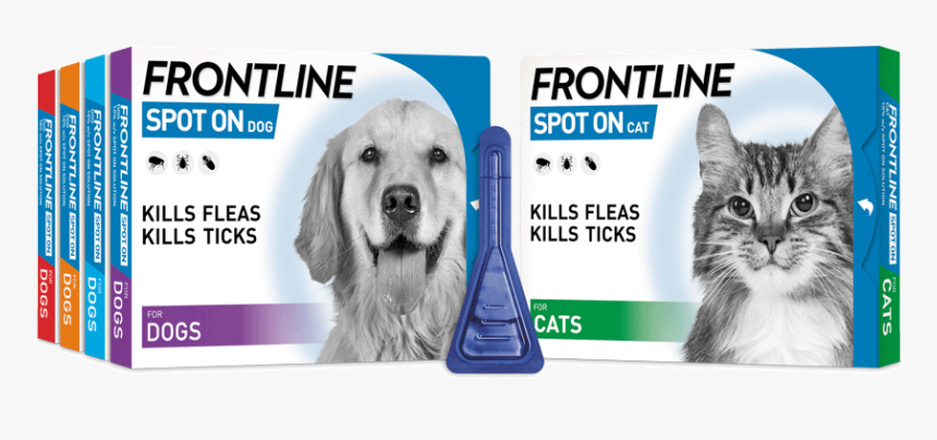 Frontline Spot On Cat, HD Png Download