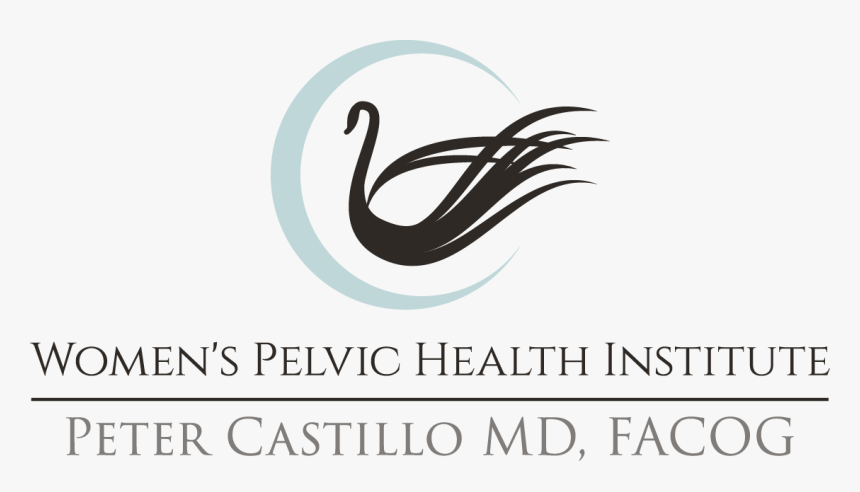 Calligraphy, HD Png Download