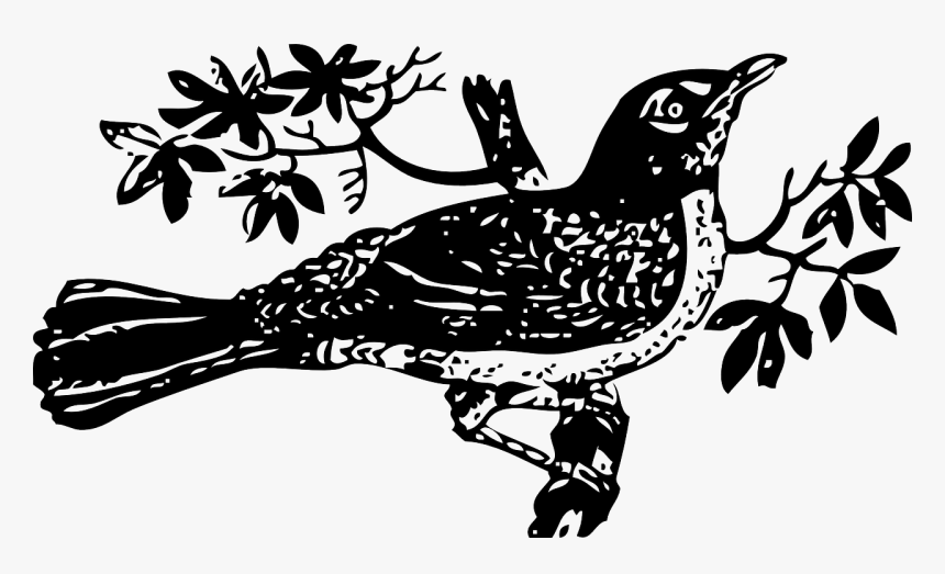 To Kill A Mockingbird Clip Art - Mockingbird Clipart, HD Png Download