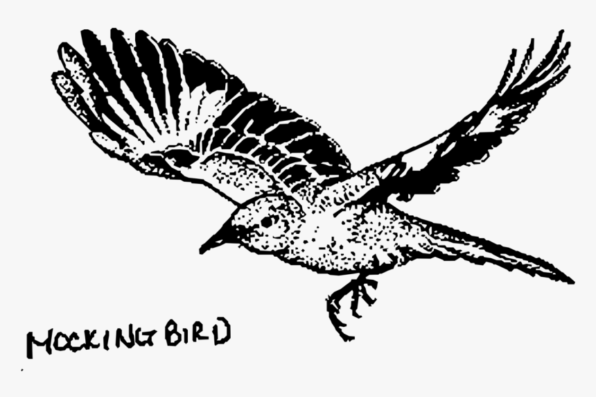 Mockingbird Png, Transparent Png