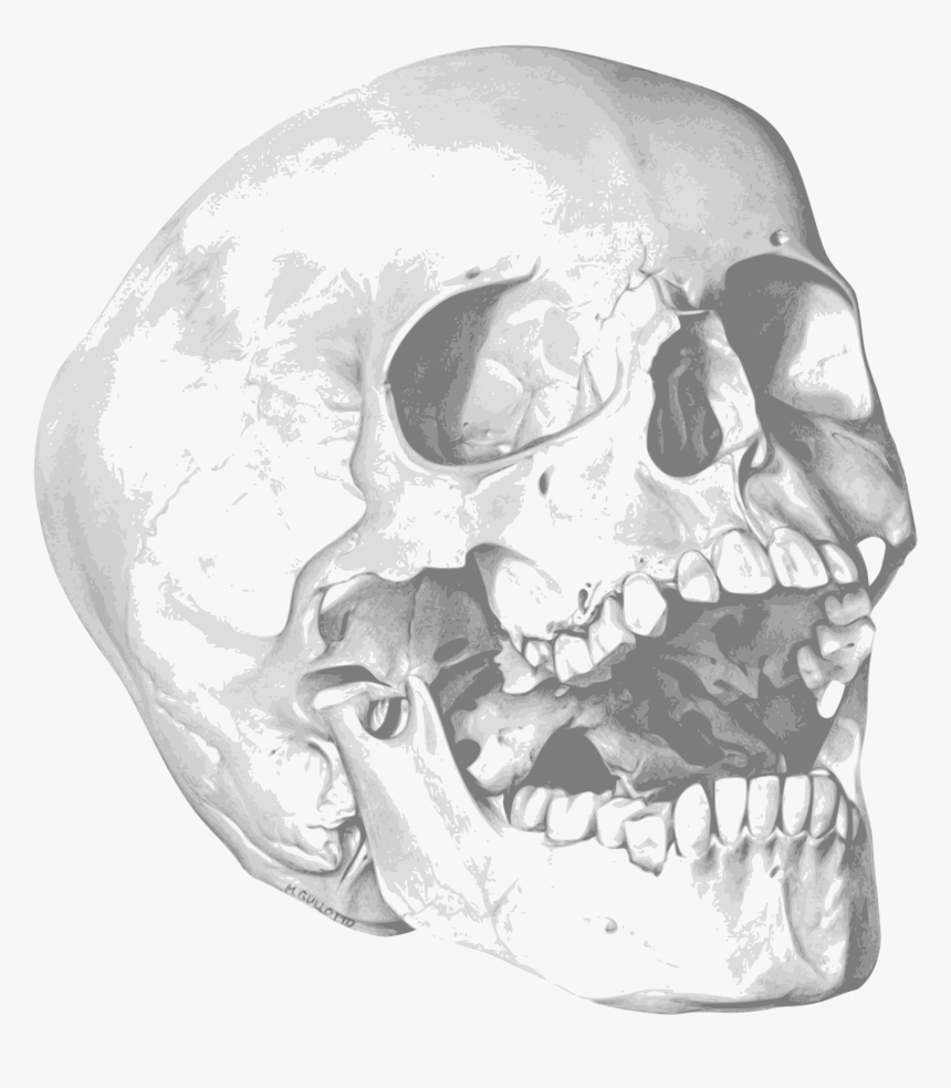 Skull Clip Arts - Skull Halloween Party Invitation, HD Png Download