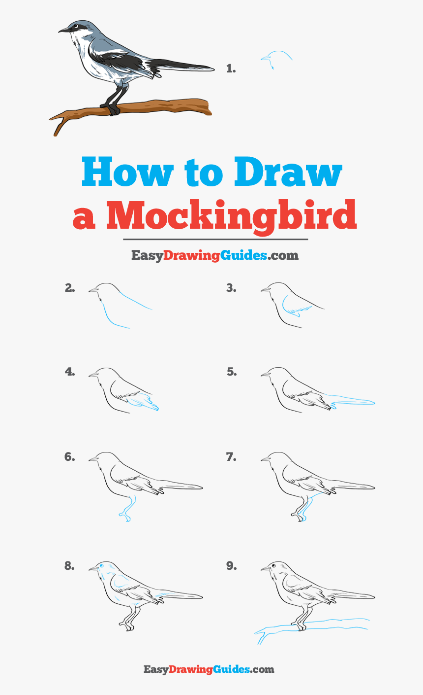 How To Draw Mockingbird - Flow, HD Png Download