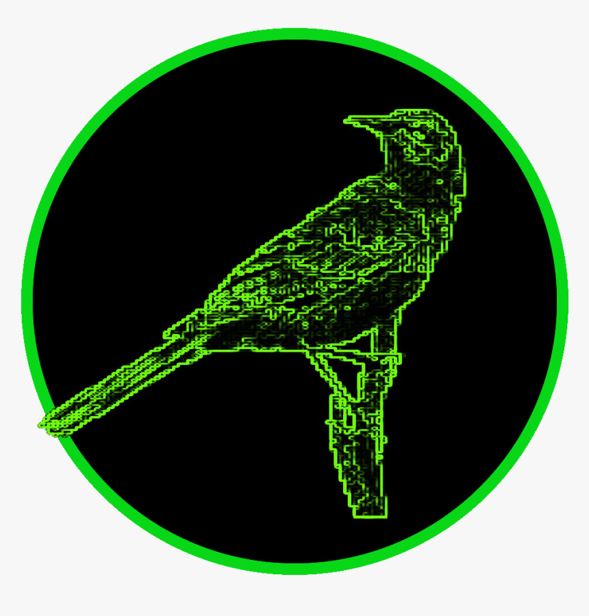 Undead Mockingbird - Circle, HD Png Download