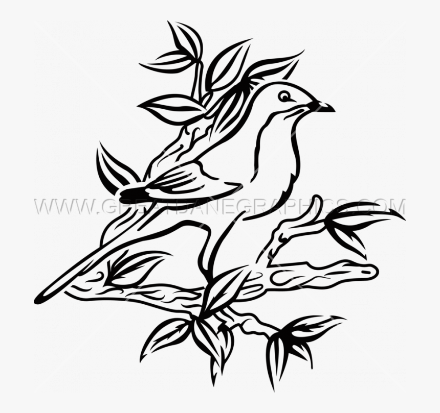 Transparent Mockingbird Png Kill A Mockingbird Drawing Png
