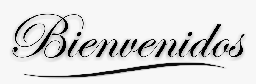 Bienvenidos Png Con Brillo 3 » Png Image - Birth (2004), Transparent Png