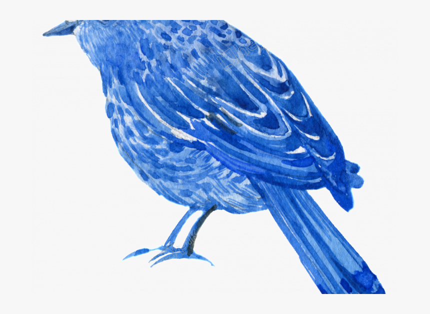 Drawing, HD Png Download