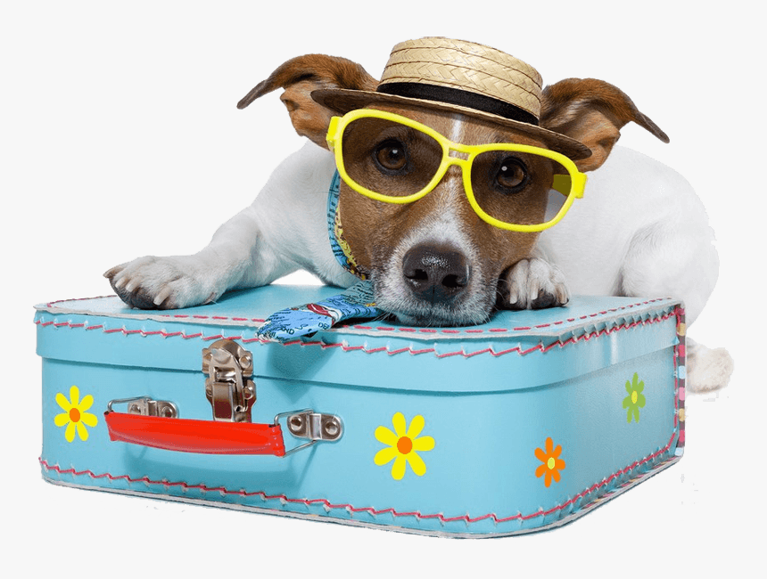 Dog Vacation - Pet Traveling, HD Png Download