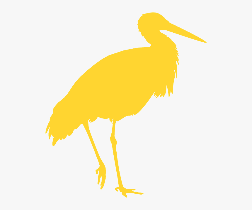 Water Bird, HD Png Download