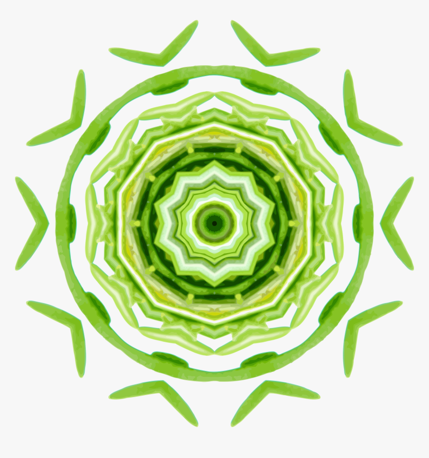 Plant,flower,symmetry, HD Png Download