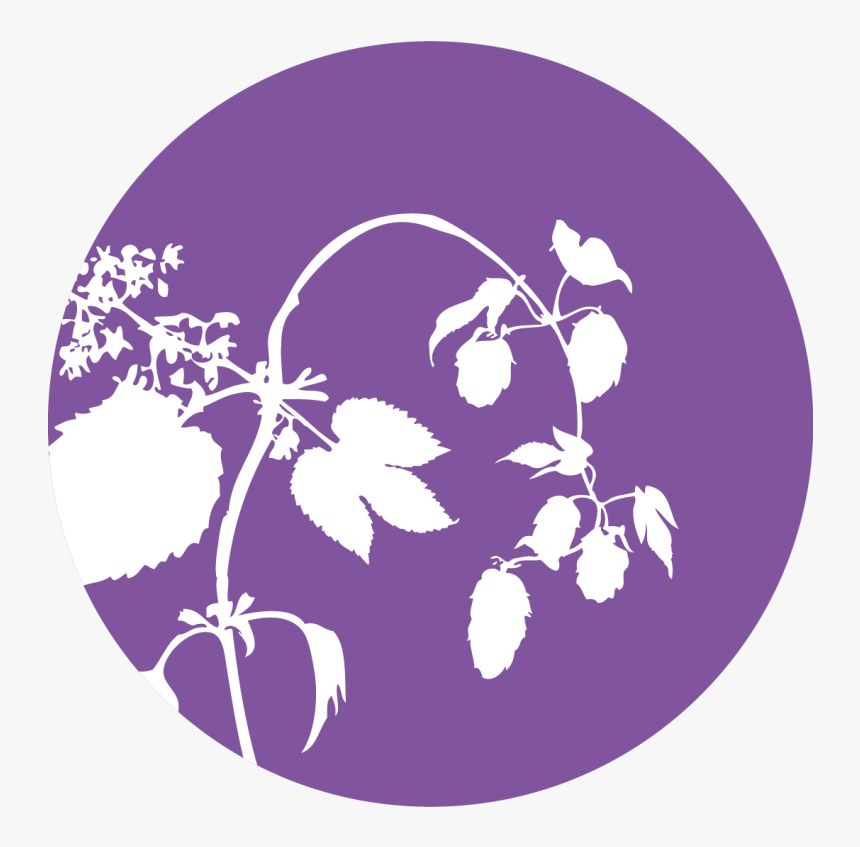 Empty Capsule Shells - Viola, HD Png Download