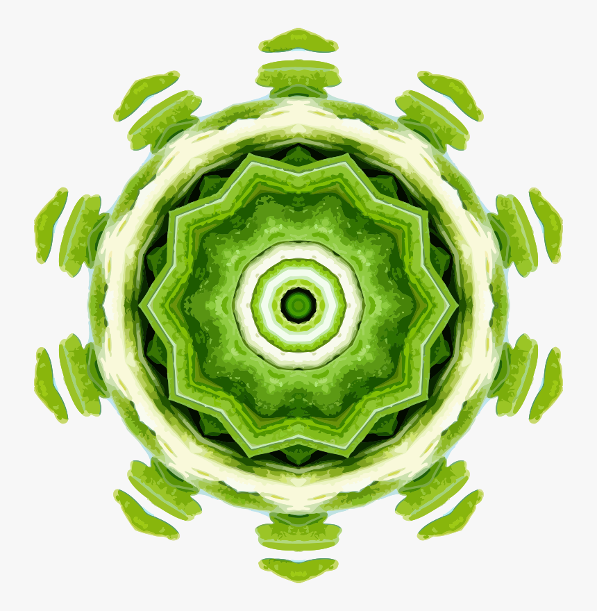 Food,fruit,green - Circle, HD Png Download