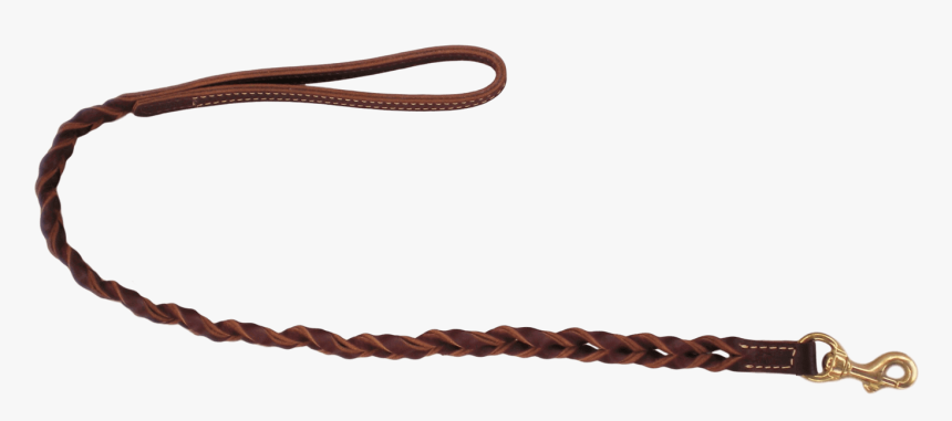 Leash Png, Transparent Png