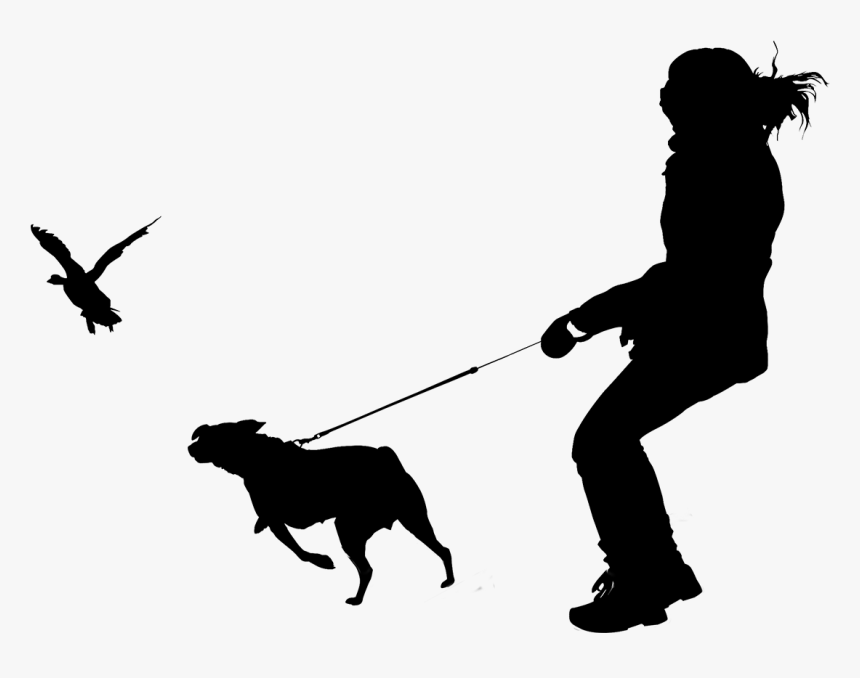 human on leash