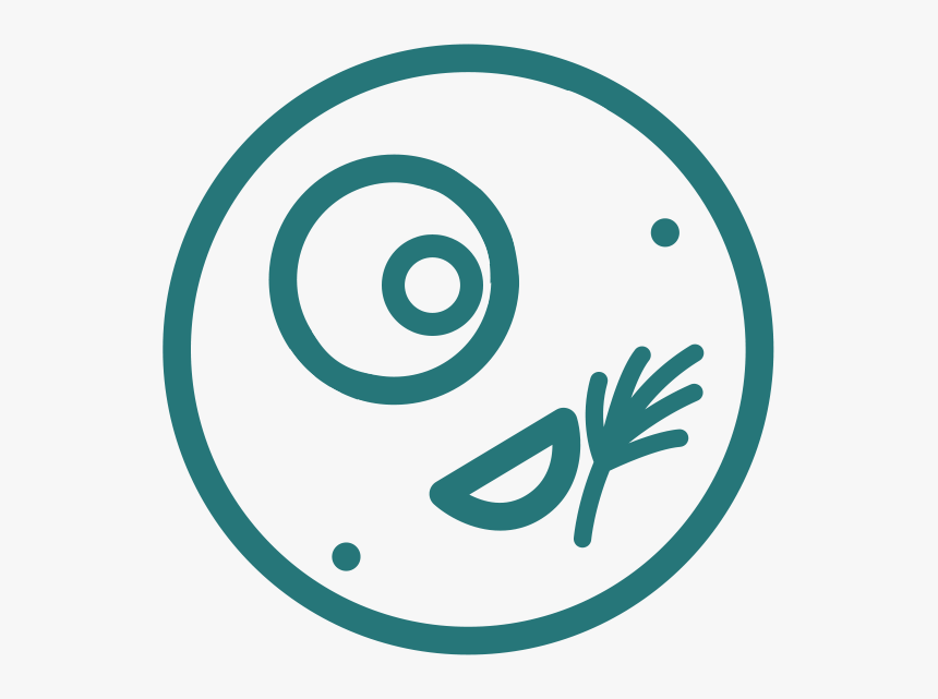 Scrambled Eggs & Scottish Smoked Salmon - Circle, HD Png Download