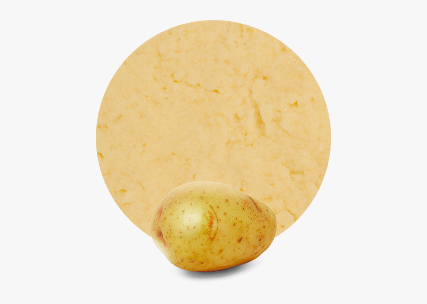 Tuber, HD Png Download